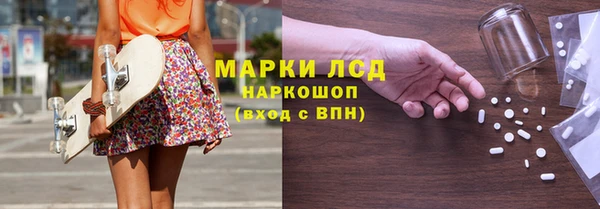 мяу мяу мука Елабуга