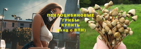 мяу мяу мука Елабуга